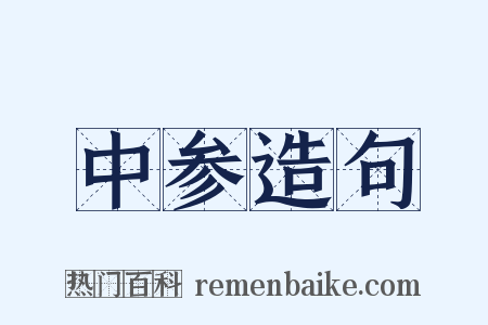 中参造句是什么意思的图片